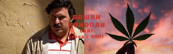 spice Вяземский