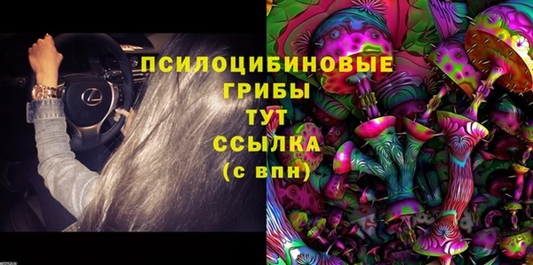 spice Вяземский