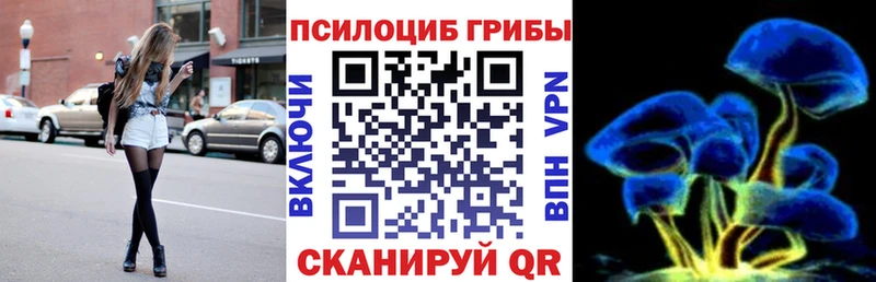 Галлюциногенные грибы мицелий  Купить  Татарск 
